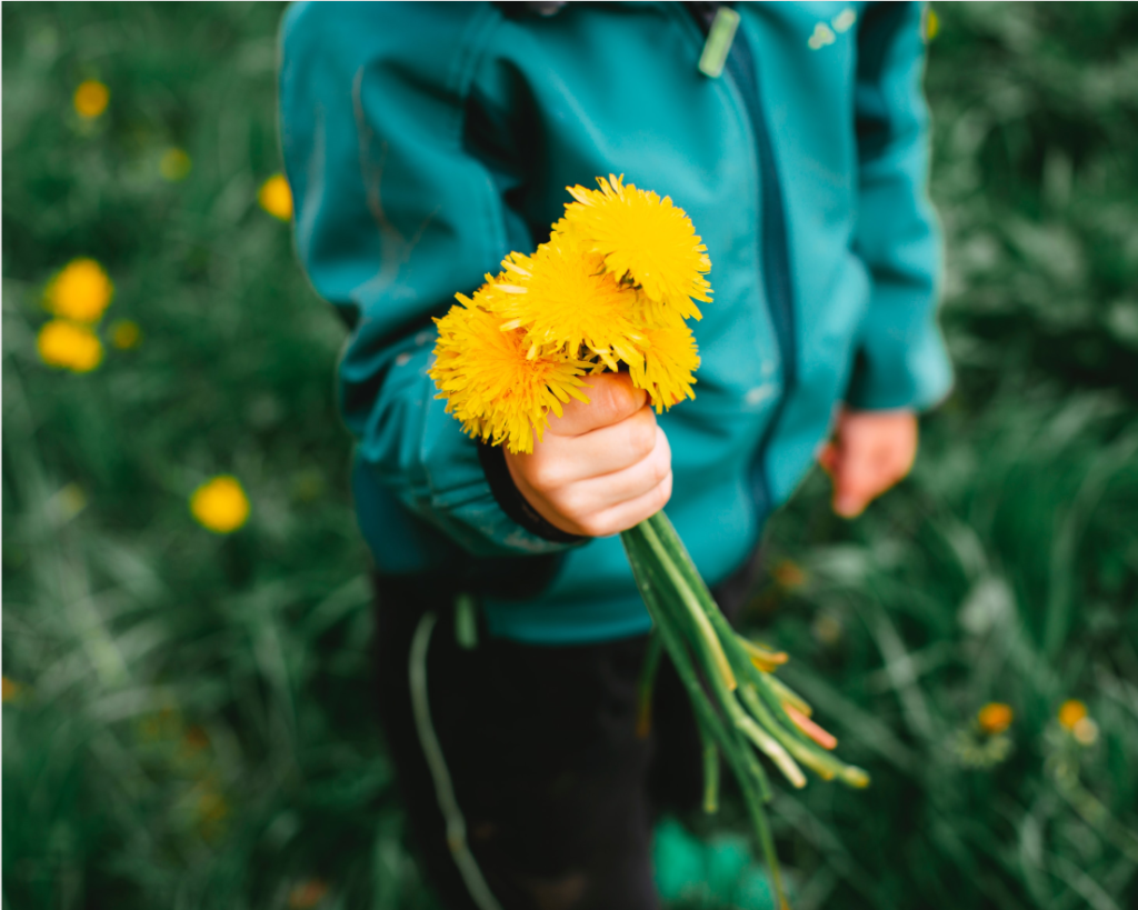 O desenvolvimento cognitivo e as desigualdades no Brasil
